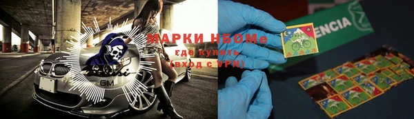 индика Алзамай