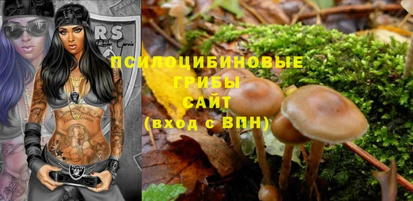 индика Алзамай