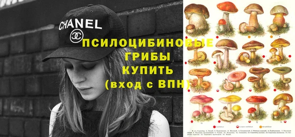 индика Алзамай