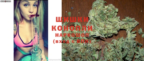 индика Алзамай