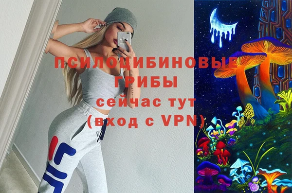 индика Алзамай